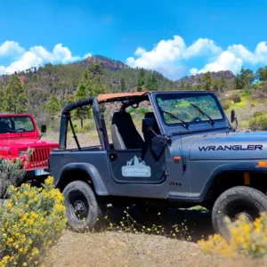 JEEP-SAFARI GRAN CANARIALLA (1/2 HENKILÖÄ)