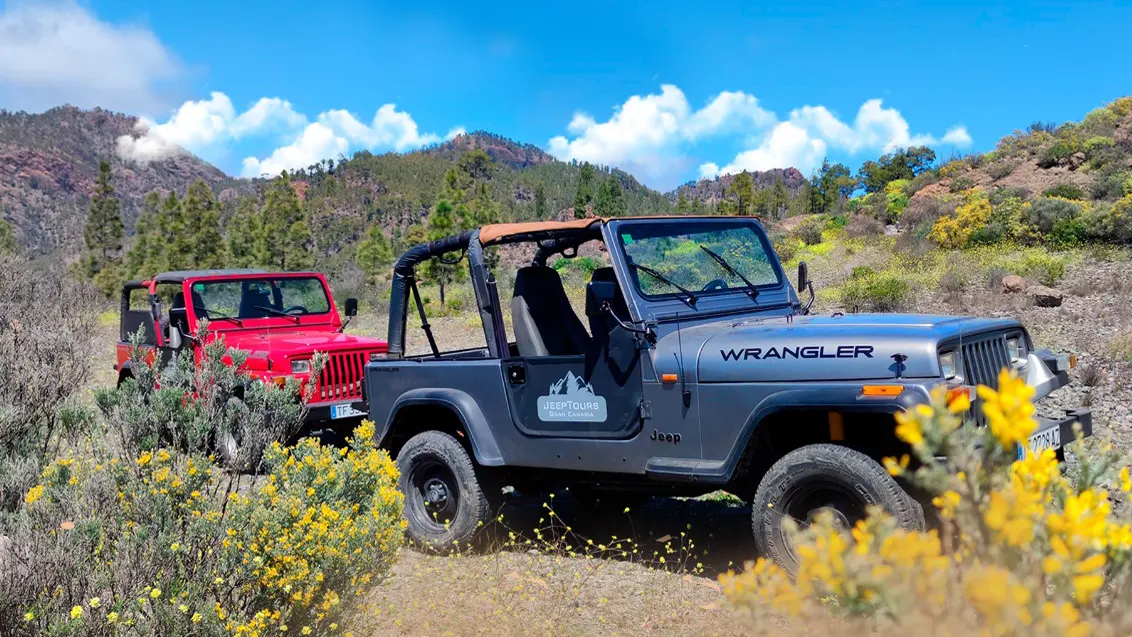 jeep-safari-gran-canaria-Wranglers