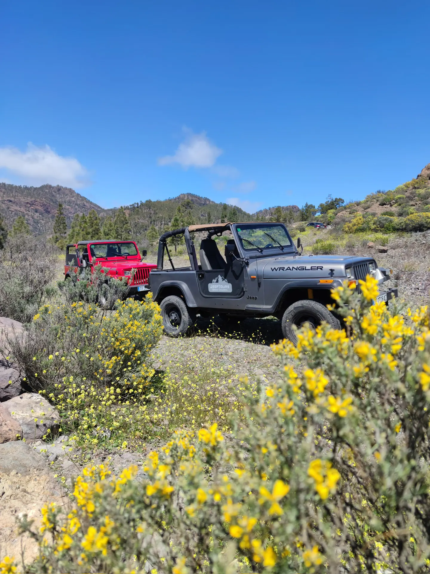 jeep-safari-tours-gran-canaria-2