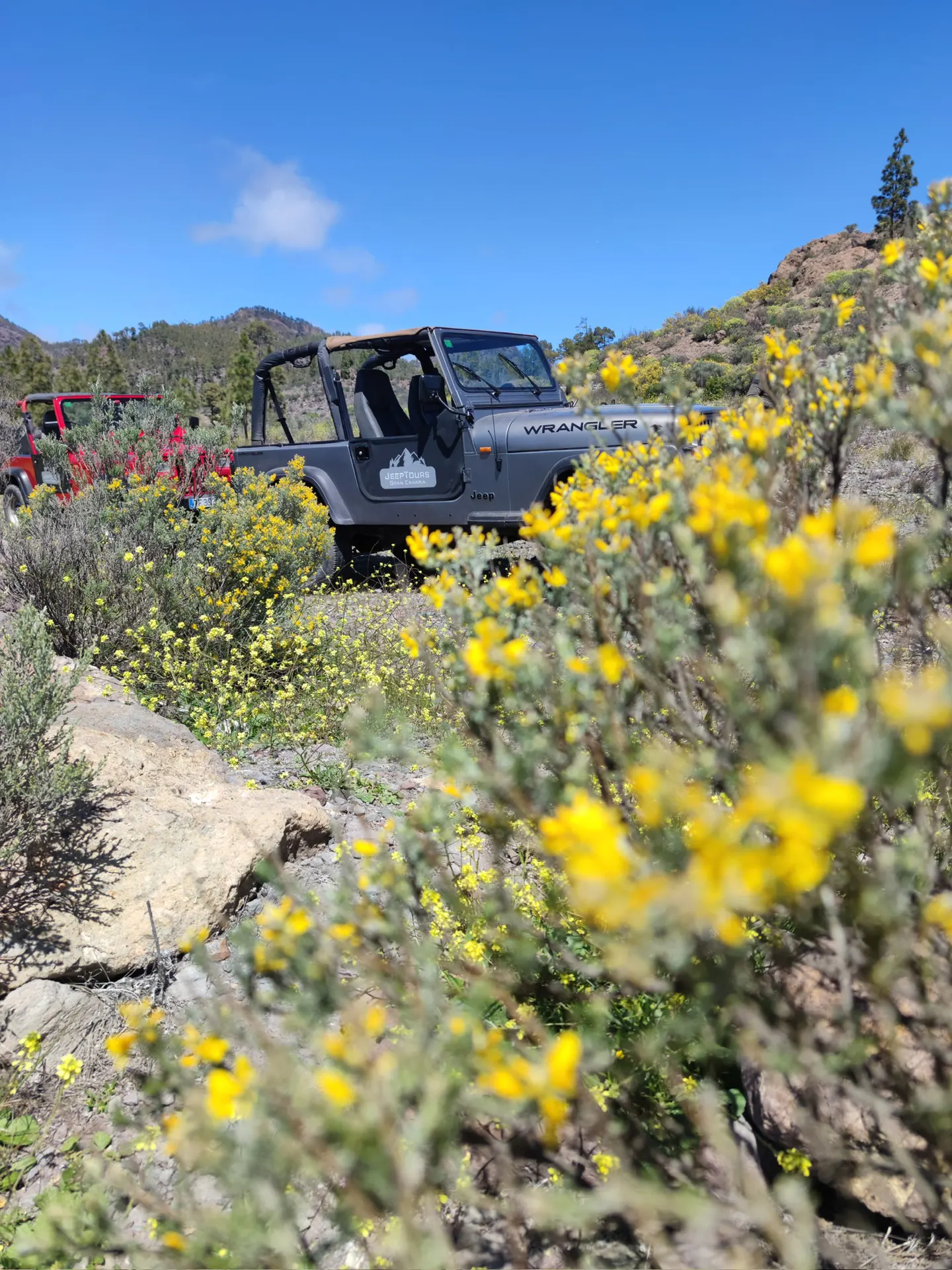 jeep-safari-tours-gran-canaria-4