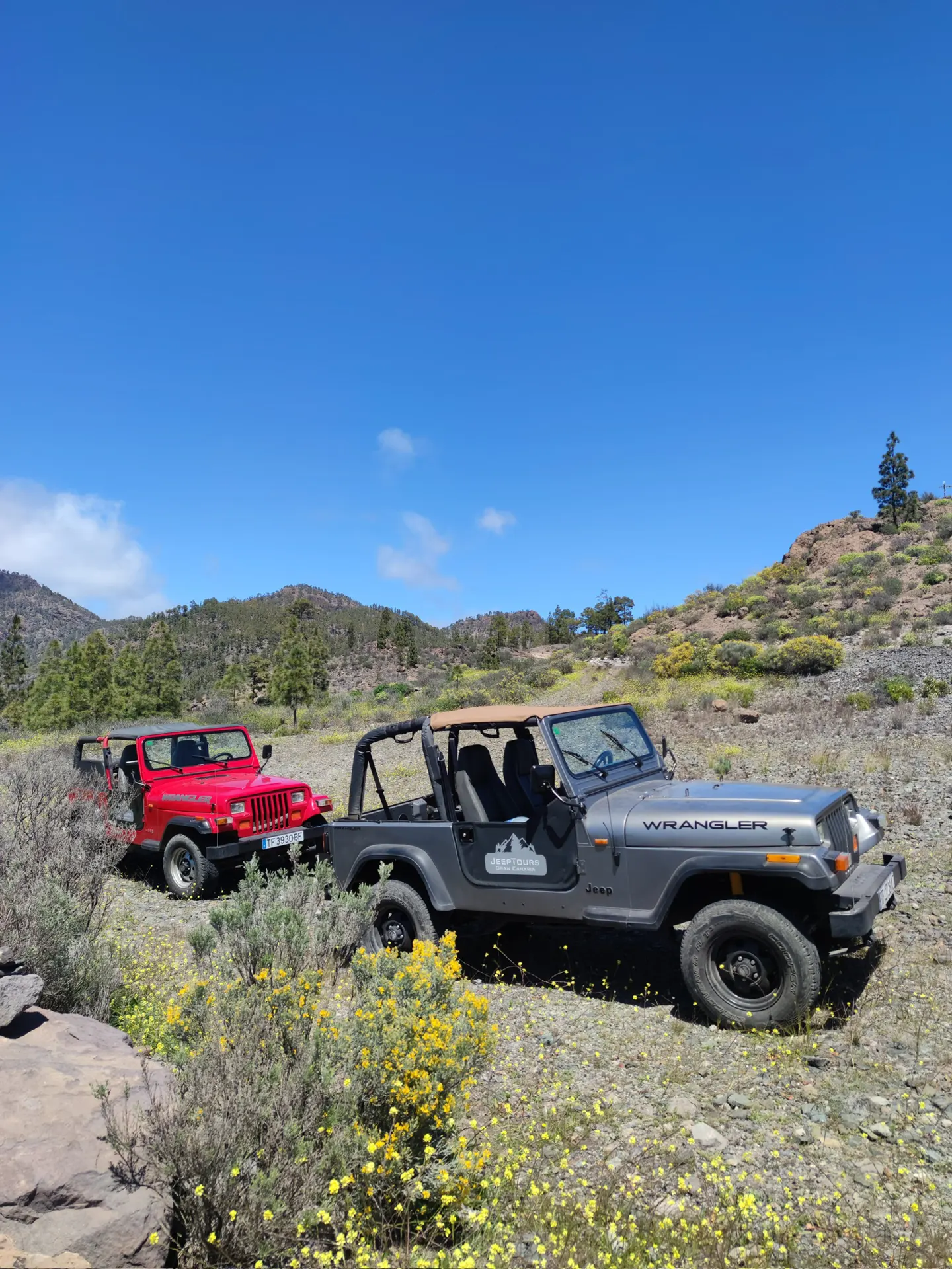 jeep-safari-tours-gran-canaria-8